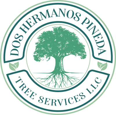 Dos Hermanos Pineda Tree Services LLC 