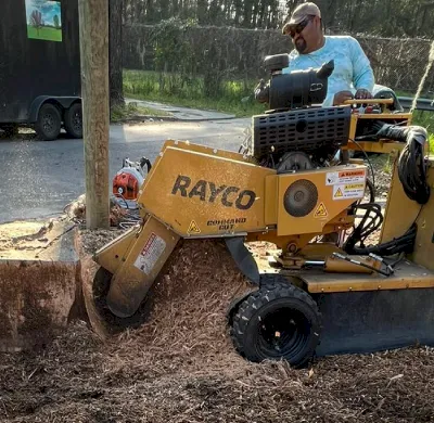 Stump Grinding