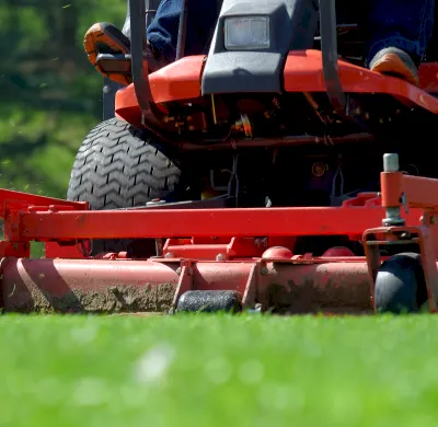 Lawn Mowing